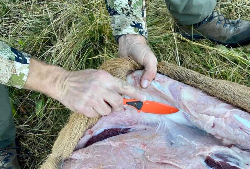 5 Pieces of Backcountry Elk Gear You Don't Want To Forget 5 Pieces of Backcountry Elk Gear You Don't Want To Forget