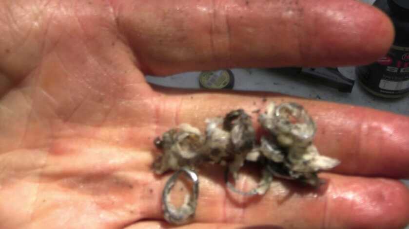 Barrel Lengths, Ballistics & Black Powder Barrel Lengths, Ballistics & Black Powder