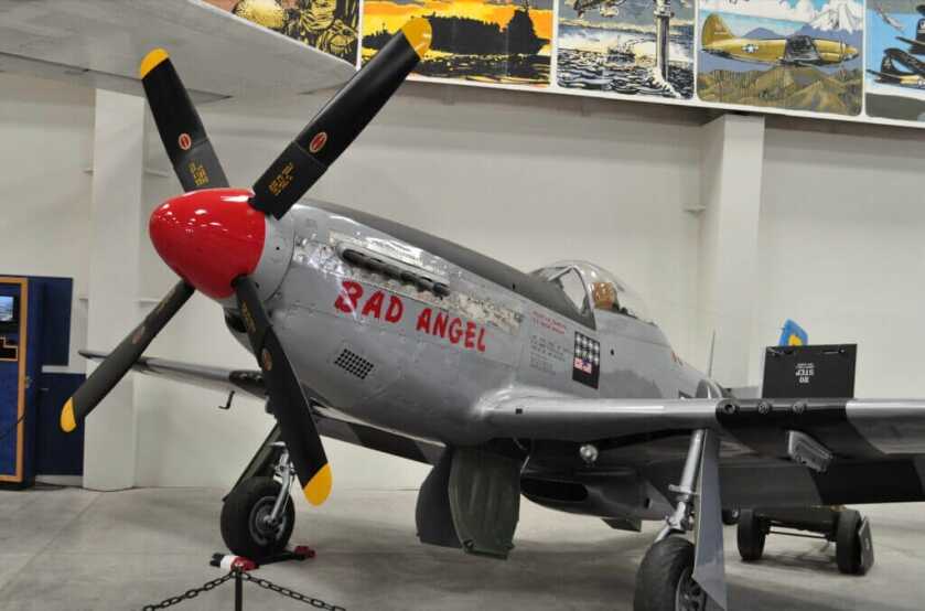 3-Will-Louis Curdes: The Triple Axis Ace Who Shot Down his Own Wife