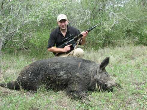 wild boar hunting