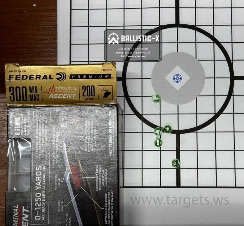 A 5-round group shows this rifle's accuracy.
