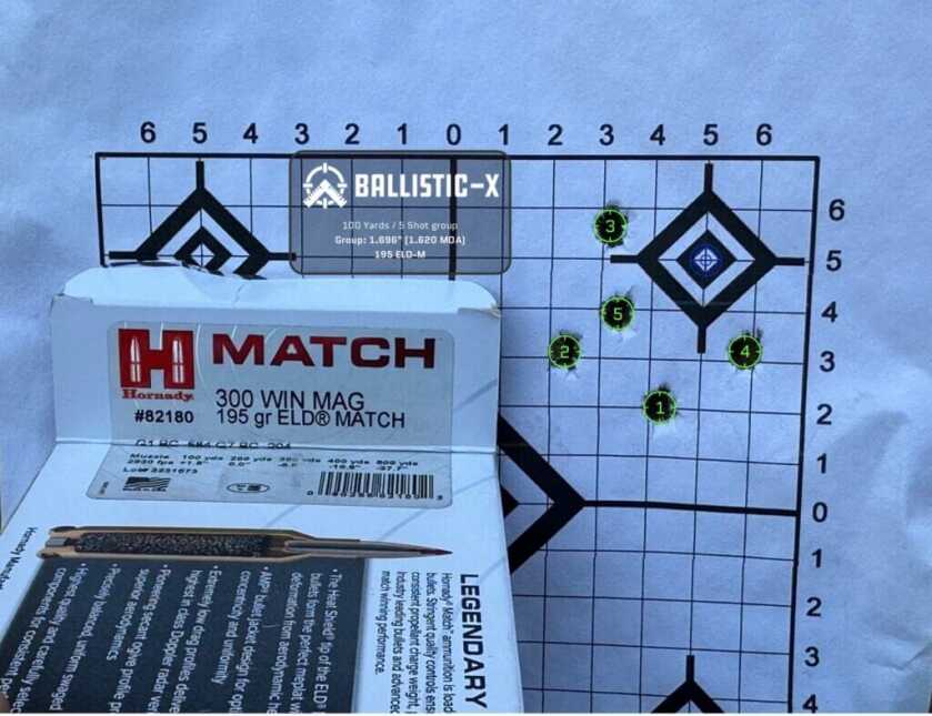 This 5-round group shows the capabilities of this rifle.