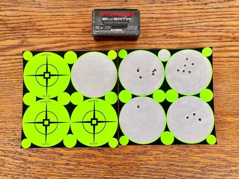 Birchwood Casey target spots and Winchester Silvertip ammo