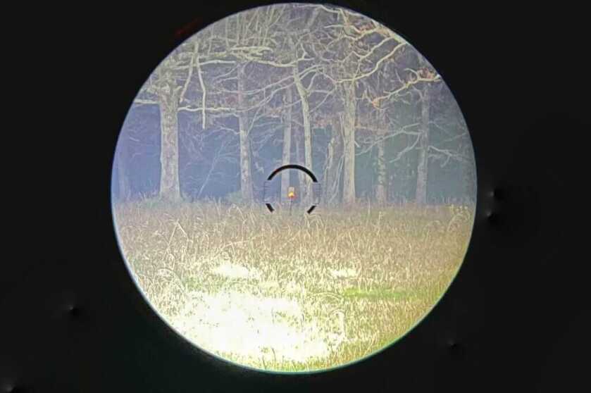 View of a target through an optic