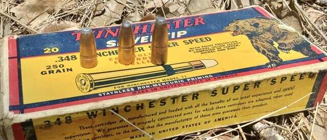 Winchester 250gr ammo