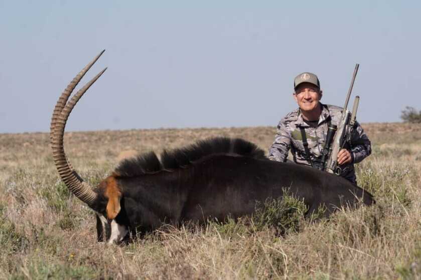 Hunter in grey field with large sable 