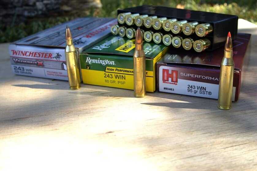ammo comparison