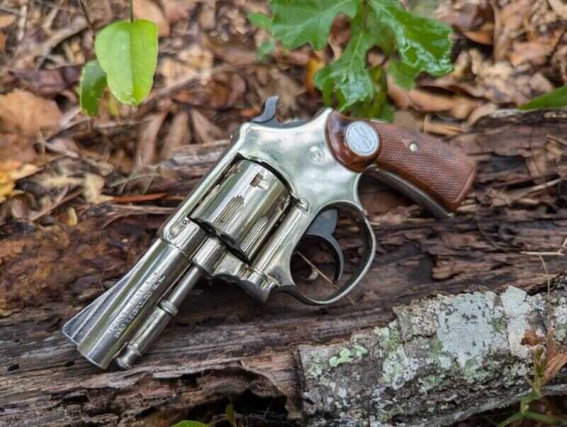 Rossi princess barrel