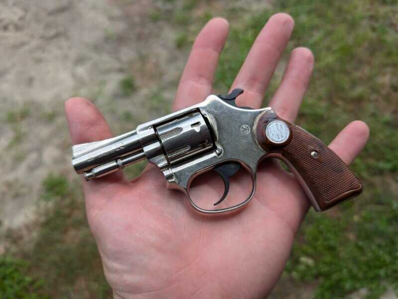 Rossi princess in hand