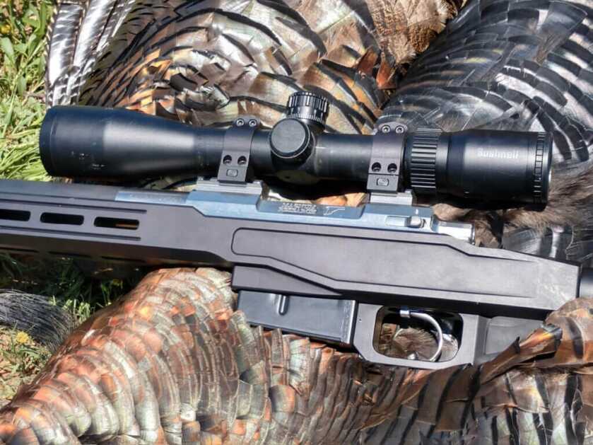 bushnell scope on 6.5 creedmoor