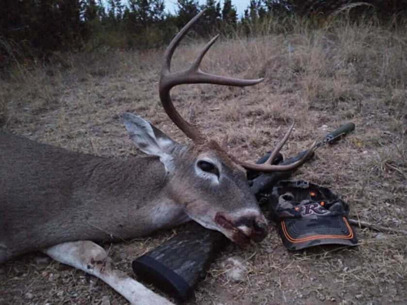 whitetail  buck with suppressed rifle