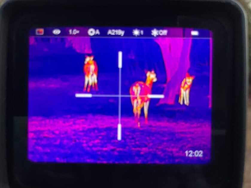 X-Vision Flex2 thermal view has multiple color palettes. 