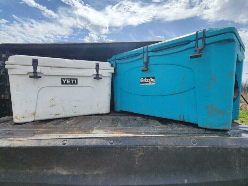 grizzly and yeti coolers
