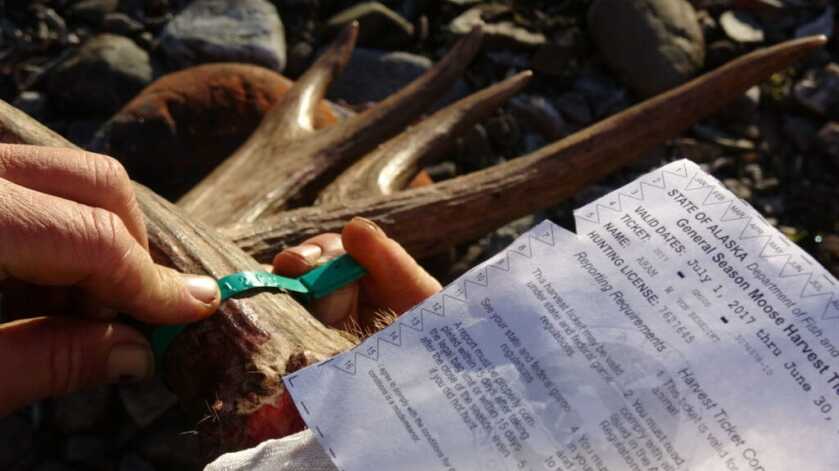 How to Assemble an Awesome Bivy-Hunting Setup - Part One: Camping & Sleeping Gear How to Assemble an Awesome Bivy-Hunting Setup - Part One: Camping & Sleeping Gear