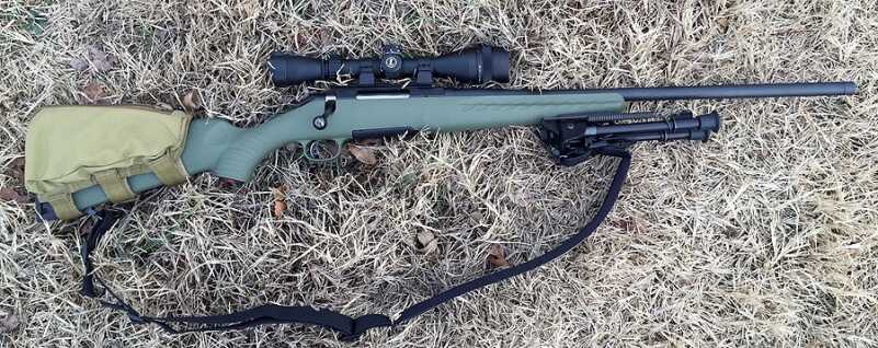 Rifle, scope, and bipod for under $900? Not bad. 