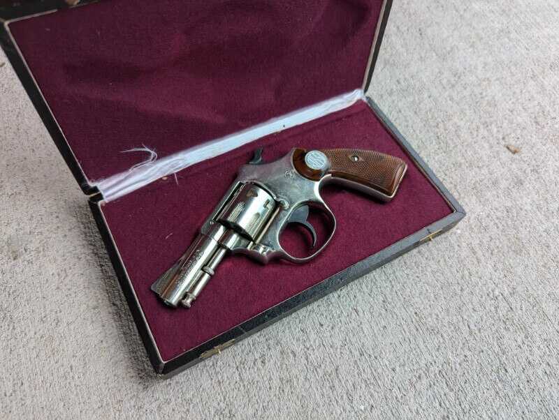 Rossi princess in box