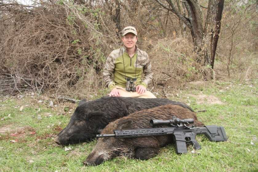 Two Texas hogs taken with a Savage MSR 10 Long Range .308 semi auto rifle