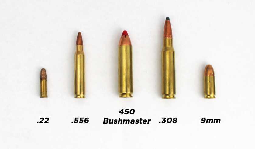 Ruger Gunsite Scout .450 Bushmaster cartridge comparison