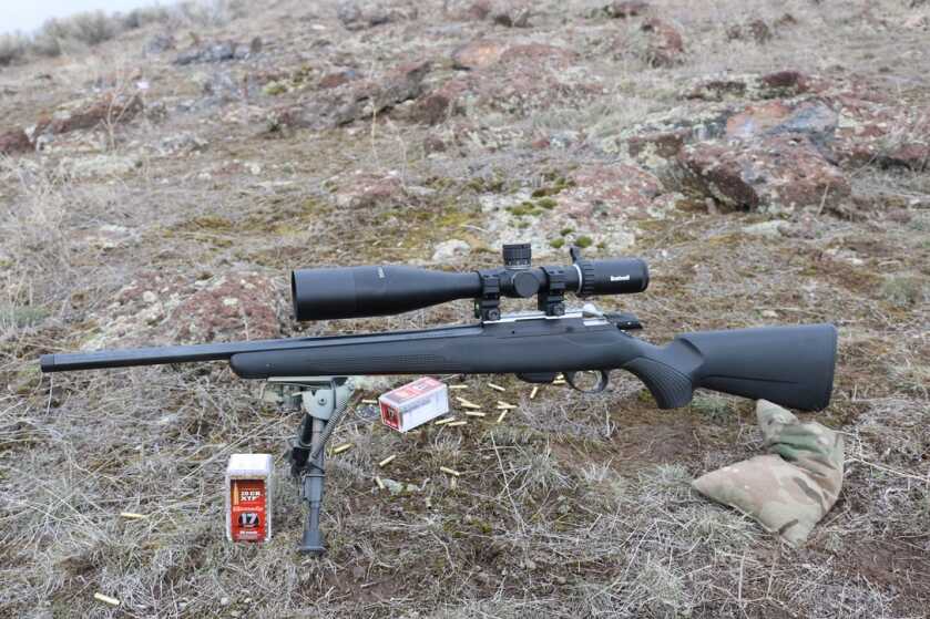 Tikka T1x 17 HMR rimfire rifle with Hornady 20 grain ammunition