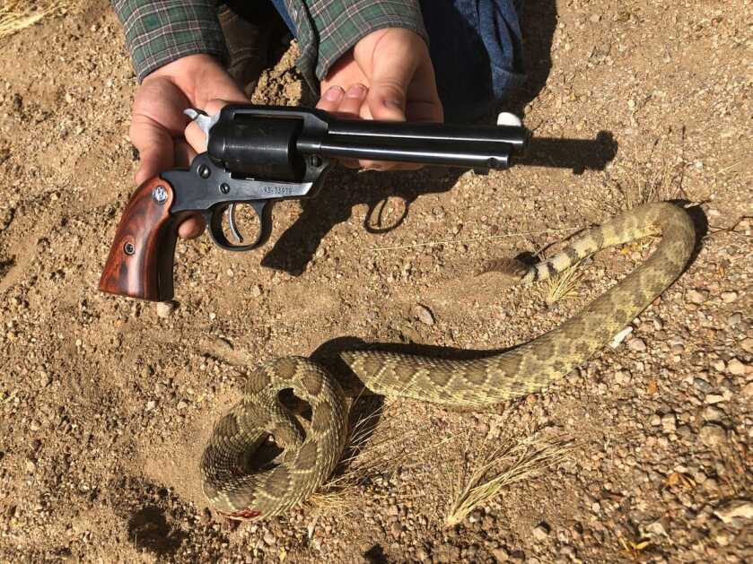 Ruger New Bearcat .22 LR revolver