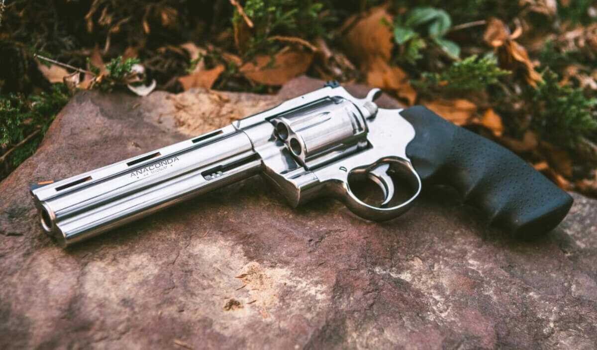 Colt Anaconda .44 Magnum hunting revolver