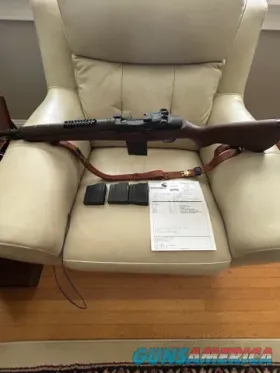 Springfield Armory with 4 mags and sling