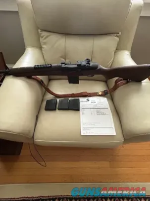 Springfield Armory with 4 mags and sling