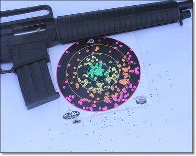 AR-15 Style 12 Gauge Shotgun - Akdal MKA-1919 RAAC