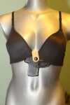 bra holster