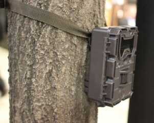 bushnell02