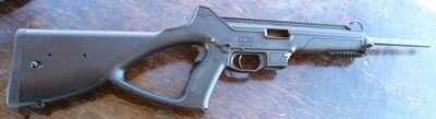 caracal04