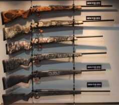 weatherby01
