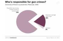 Who Is Responsible for Gun Crime?