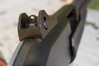 The rear sight sports a generously-sized ghost ring.