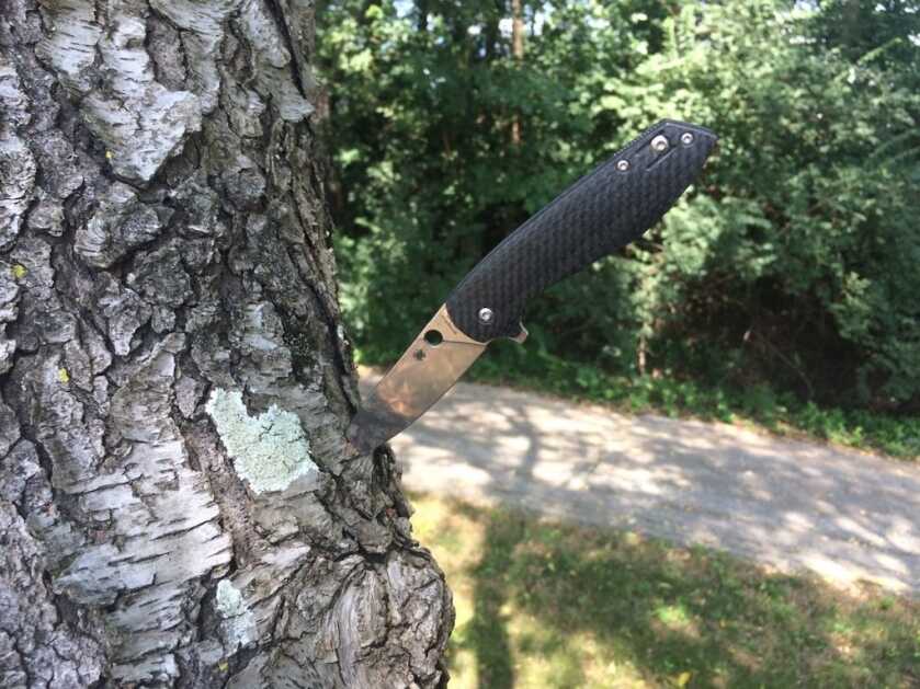 Spyderco Positron lightweight summer carry folding knife 2026