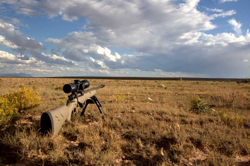 Mossberg Patriot Predator 6.5 Creedmoor bolt-action rifle, best coyote rifle for the money 2026