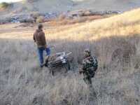 Meat Care and Transportation Tips