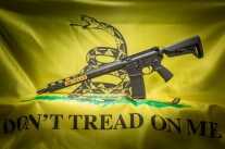 SIG TREAD Rifle: Tailored Upgrades for Under $1000