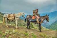 5 Tips For Packing Gear With Horses & Mules