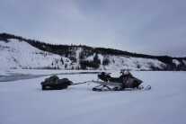 Last Frontier Bison: Hunting Alaska's Largest Land Mammal