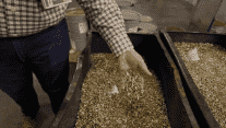 Remington Ammunition asks, 'Where's the Ammo'?