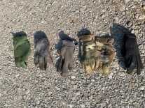Gloves: All Summer Long