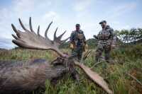 Moose Logistics of Alaska