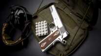 Springfield Armory Garrison 9mm Inbound