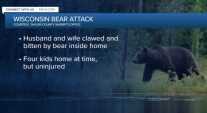 Wisconsin Household Attacked by Bear, Couple Still Recovering