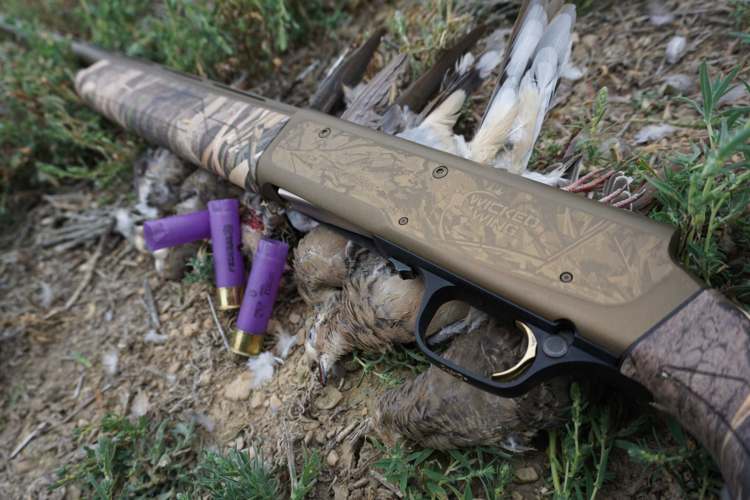 Browning A5 Wicked Wing Sweet Sixteen with 16 gauge shells, best lightweight upland semi-auto 2026