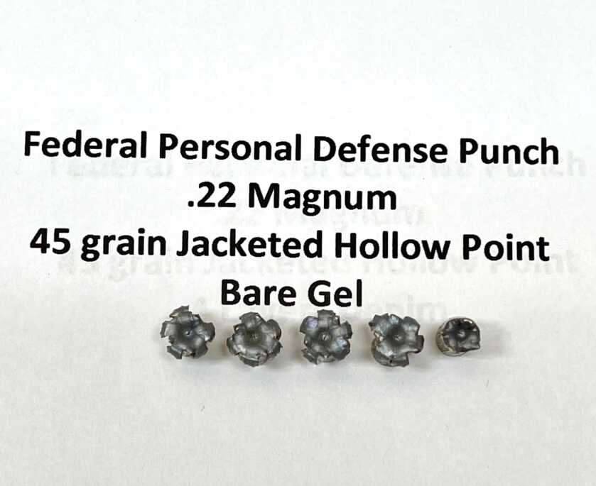 Expanded Federal Punch .22 WMR hollow points recovered from bare gel
