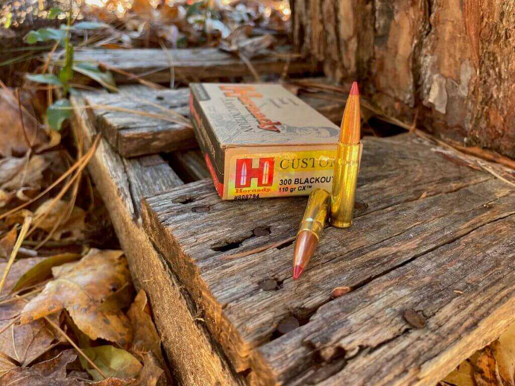 Hornady Custom 300 Blackout 110 grain CX ammunition box and cartridges