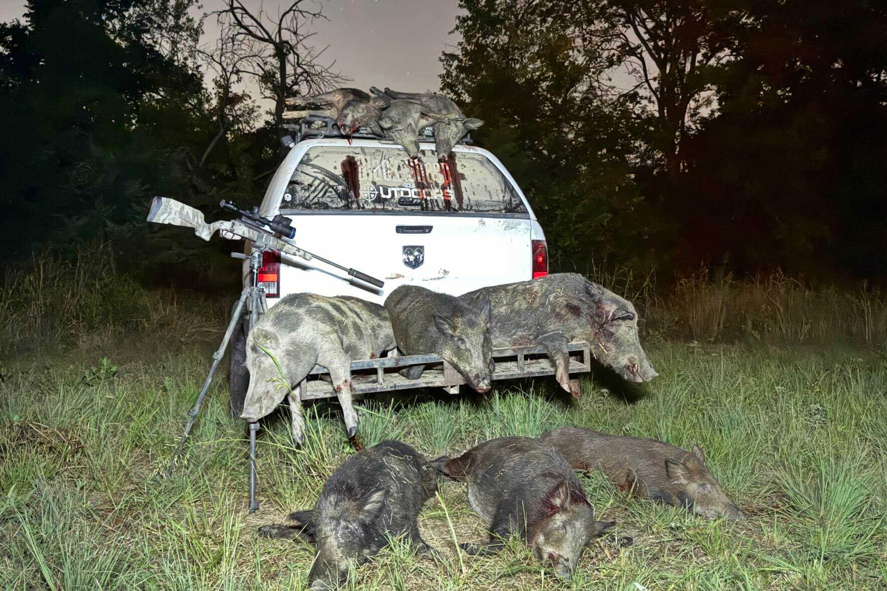 Savage AXIS 2 Pro bolt action hunting rifle, best overall Savage rifle 2026