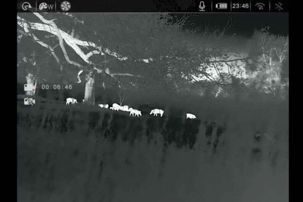 Screenshot taken during stalk up on wild pigs while the RH25 V2 was mounted to my helmet
